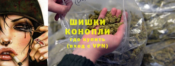 гашиш Богданович